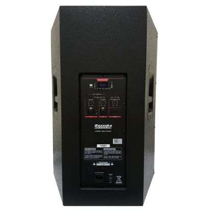 CAJA AMPLIFICADA PROFESIONAL 15&quot; 500W RMS USB NEGRO-BAZZUKA