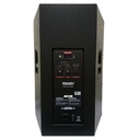 CAJA AMPLIFICADA PROFESIONAL 15&quot; 500W RMS USB NEGRO-BAZZUKA
