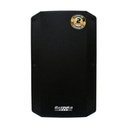 CAJA AMPLIFICADA PROFESIONAL 12&quot; 400W USB/TWS/ NEGRO/-BAZZUKA BZK-P212