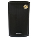 CAJA AMPLIFICADA PROFESIONAL 15&quot; 500W RMS USB NEGRO-BAZZUKA