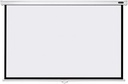 PANTALLA DE PROYECTOR MANUAL 80PLG TRANSPARENTE
