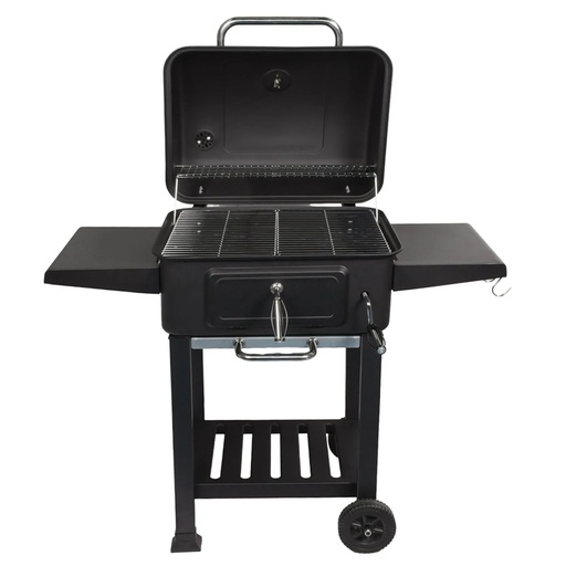 [FT23-001] ASADOR A CARBON -ALESSA