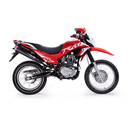 MOTO PASEO 2025 CHINA POPULAR 4T 5 VEL ENCENDIDO ELÉCTRICO -MOTOR 1